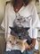 Animal Long Sleeve Cotton-Blend Shirts & Tops
