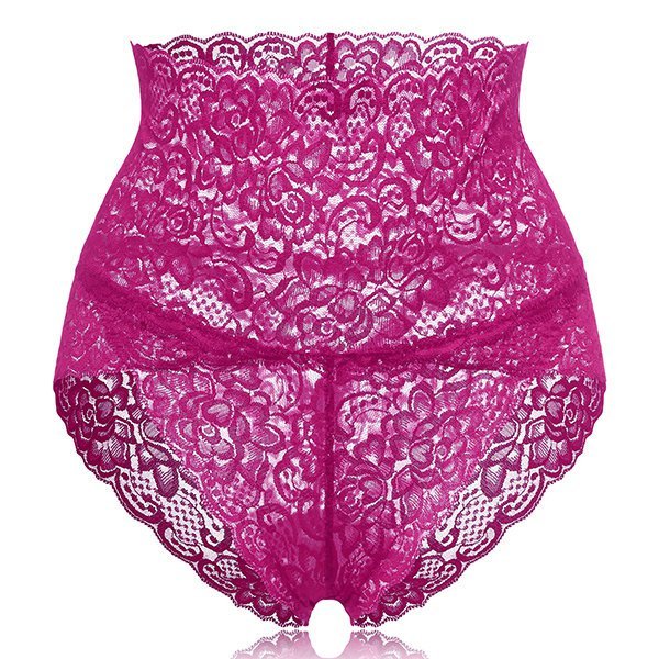 Plus Size High Waisted Lace Tummy Shaping Panty